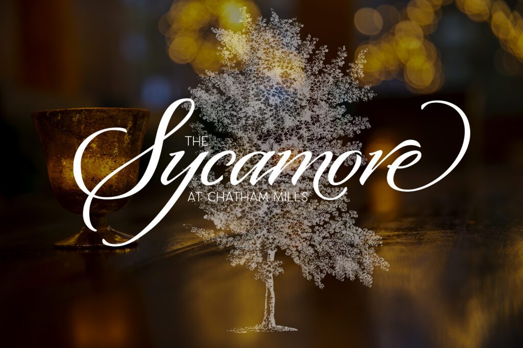 the sycamore steakhouse and fine dining restaurant in pittsboro nc
